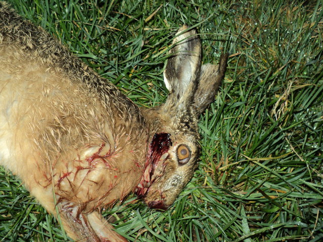 Name:  picture 4271.jpg
Views: 373
Size:  164.5 KB