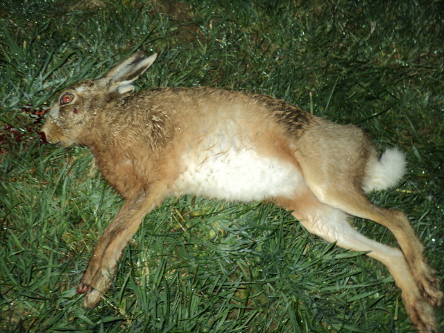 Name:  picture 4270.jpg
Views: 368
Size:  165.2 KB
