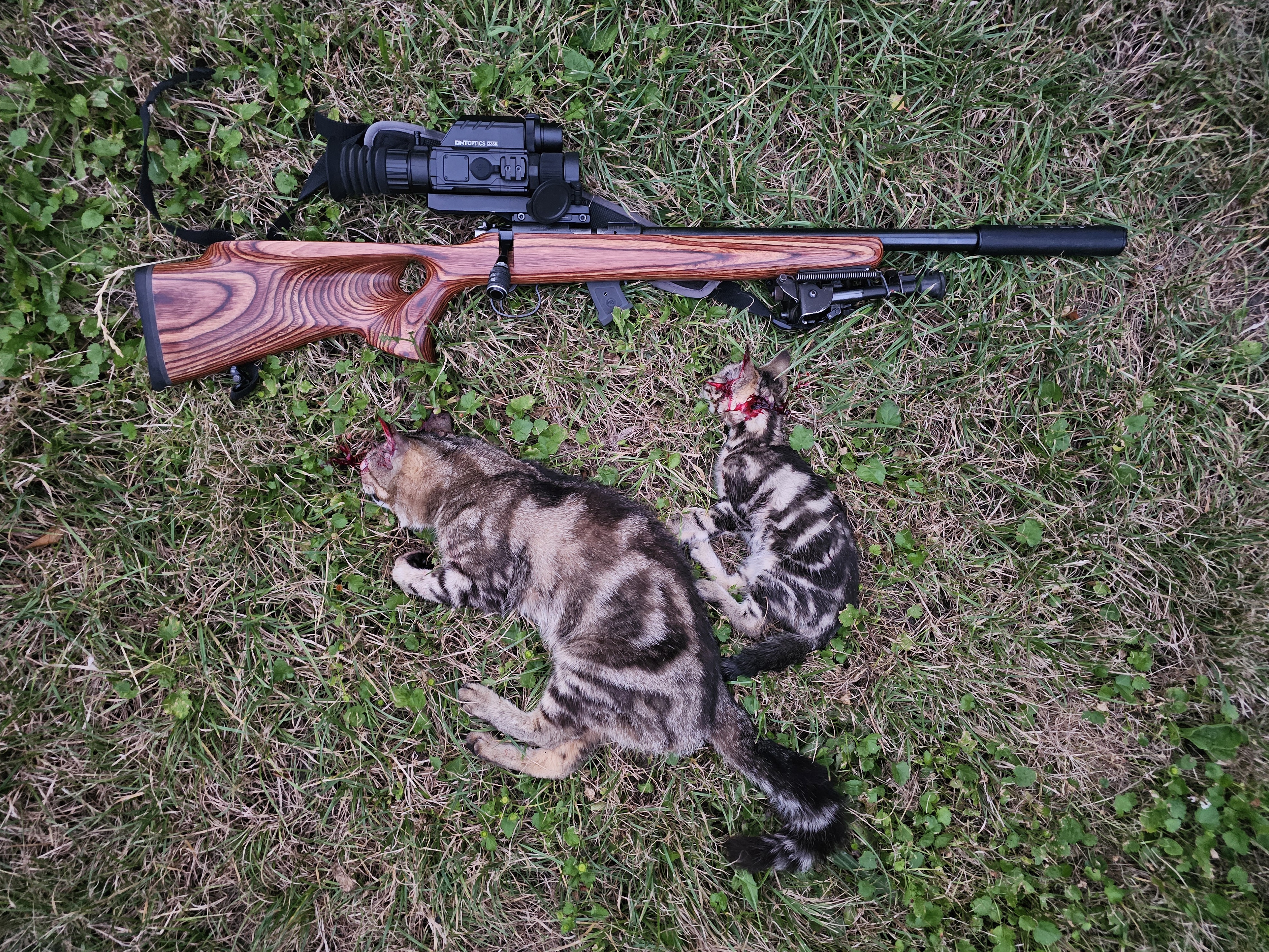 Name:  20251219_205408.jpg
Views: 247
Size:  6.20 MB