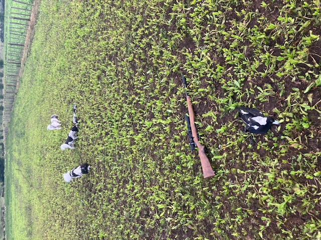 Name:  image0 (40).jpeg
Views: 94
Size:  214.8 KB