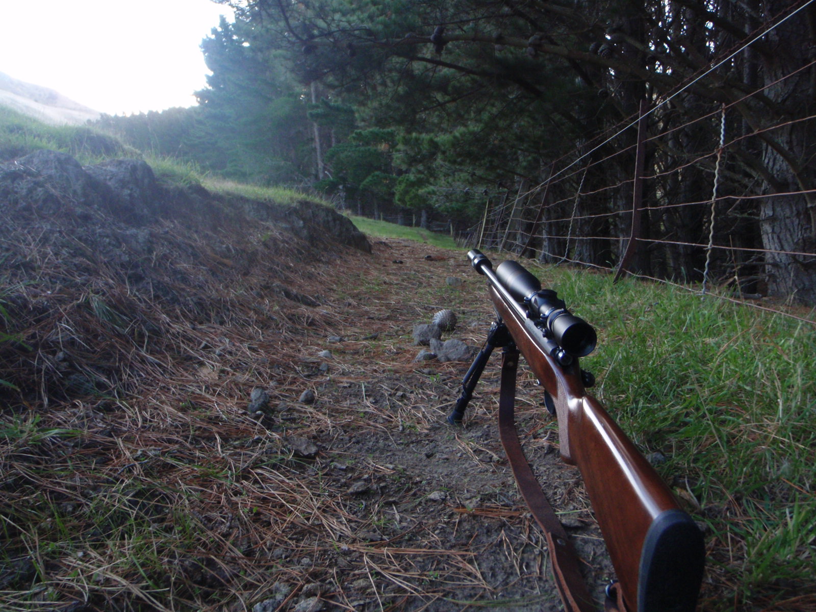 Name:  P2270035.JPG
Views: 721
Size:  462.5 KB