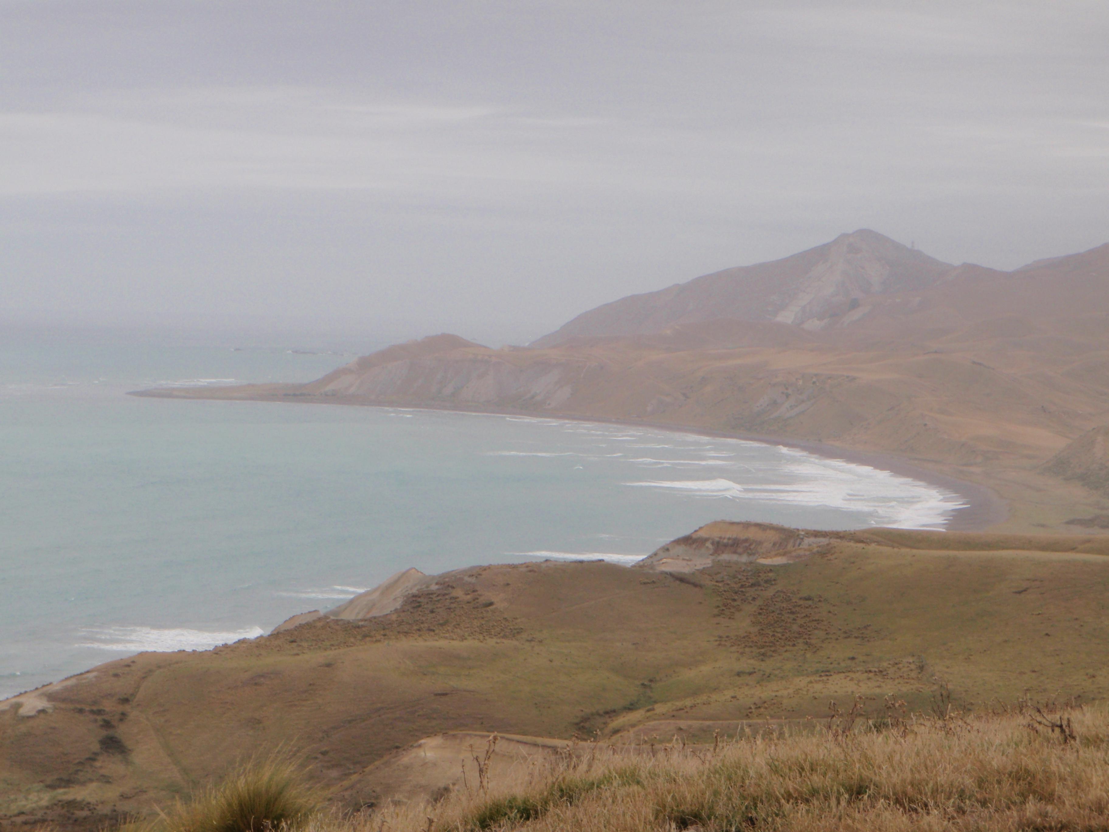 Name:  Cape 002.jpg
Views: 823
Size:  520.0 KB