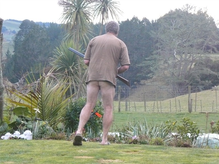 Name:  bastard photo.jpg
Views: 469
Size:  140.0 KB