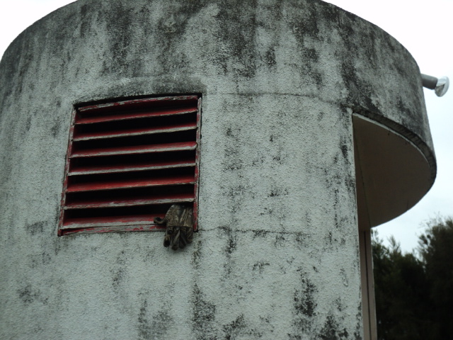 Name:  picture 4569.jpg
Views: 430
Size:  165.2 KB