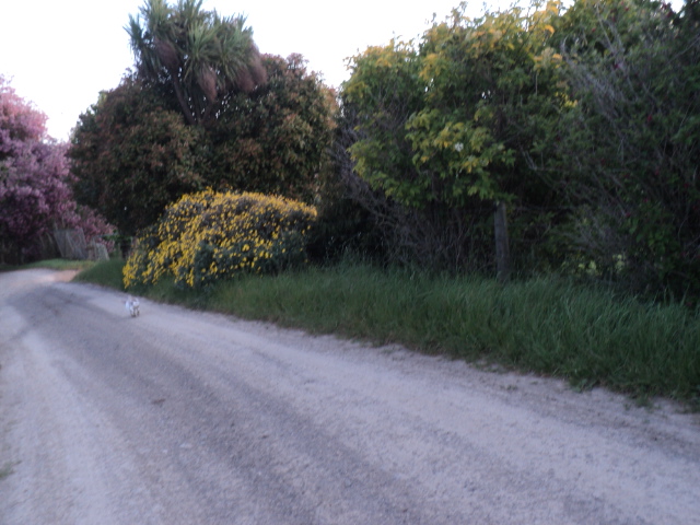 Name:  picture 4663.jpg
Views: 313
Size:  164.9 KB