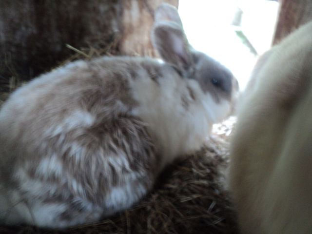 Name:  picture 4668.jpg
Views: 274
Size:  163.0 KB