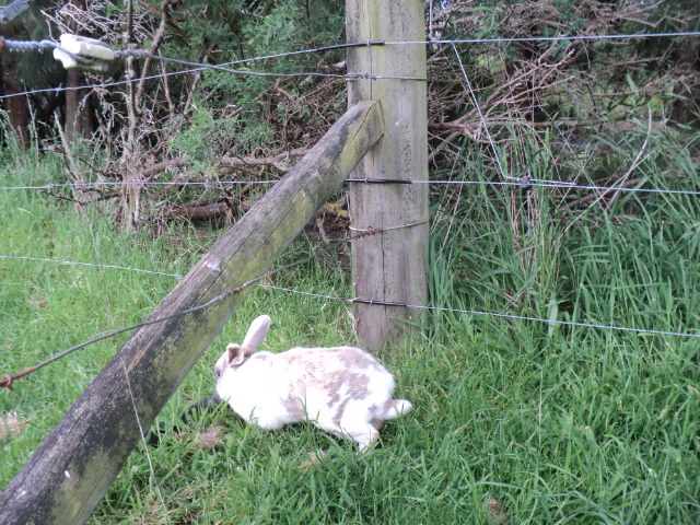 Name:  picture 4680.jpg
Views: 484
Size:  164.2 KB