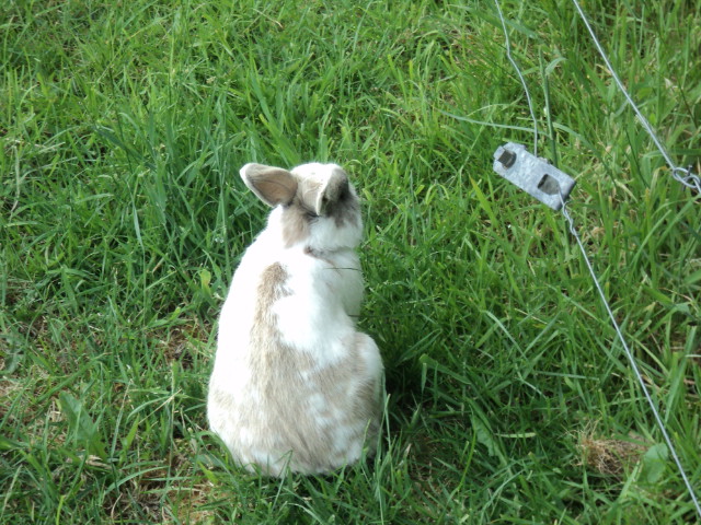 Name:  picture 4681.jpg
Views: 472
Size:  164.7 KB