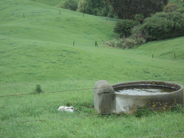 Name:  picture 4689.jpg
Views: 316
Size:  164.1 KB