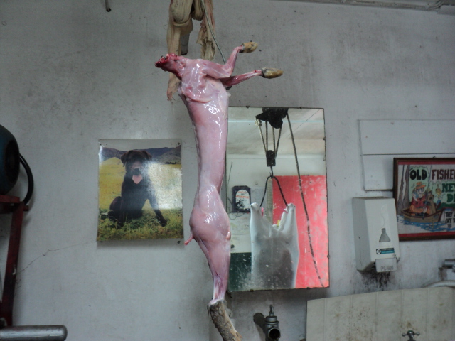 Name:  picture 4782.jpg
Views: 357
Size:  164.1 KB