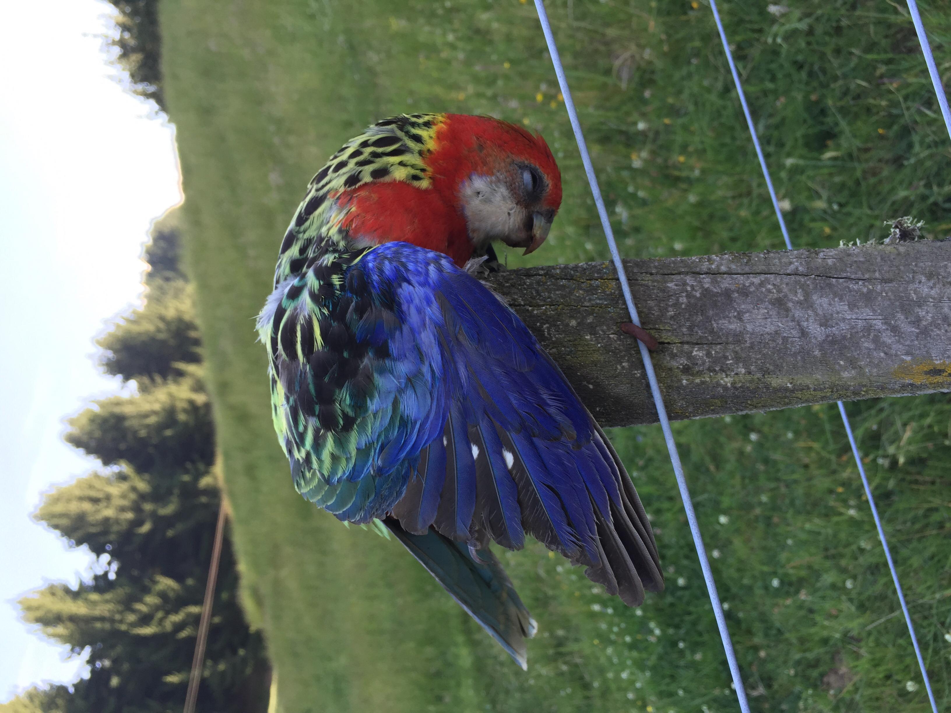 Name:  image.jpg
Views: 368
Size:  698.3 KB
