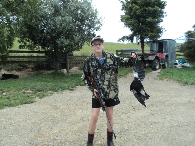 Name:  New years day magpie.JPG
Views: 501
Size:  164.2 KB