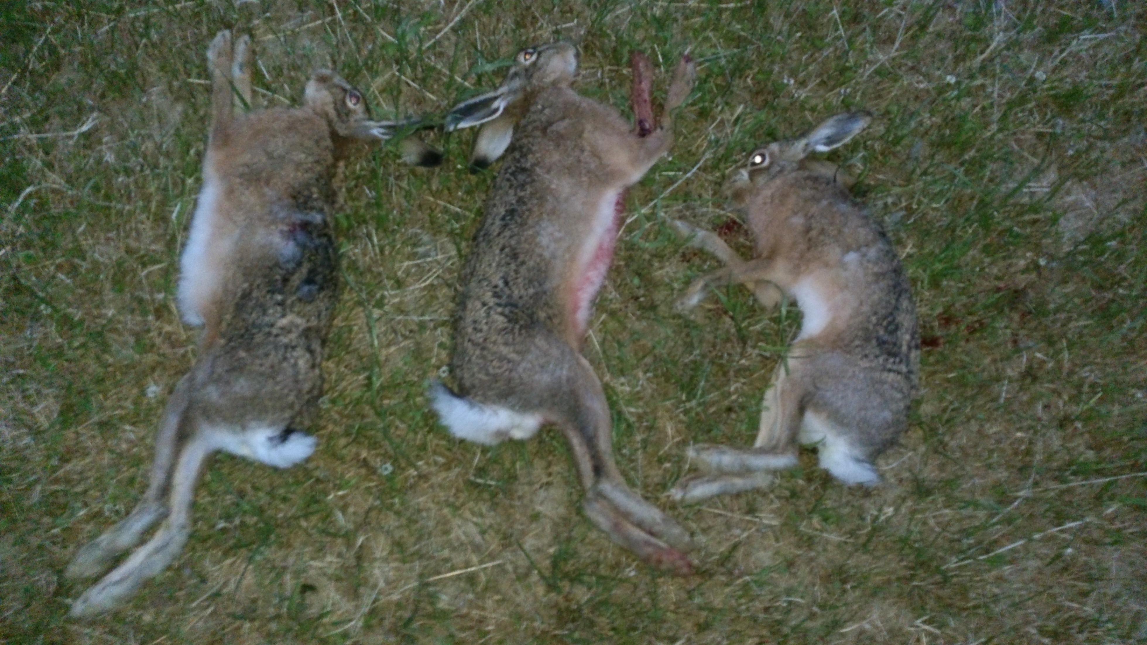 Name:  DSC_0117.jpg
Views: 407
Size:  866.5 KB