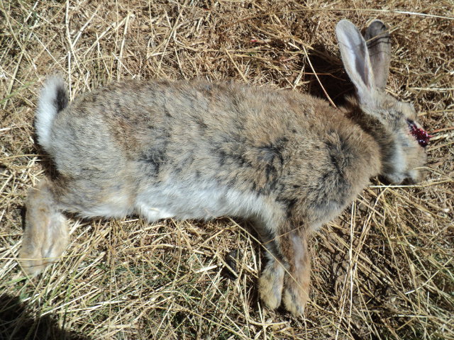 Name:  picture 4951.jpg
Views: 426
Size:  165.1 KB