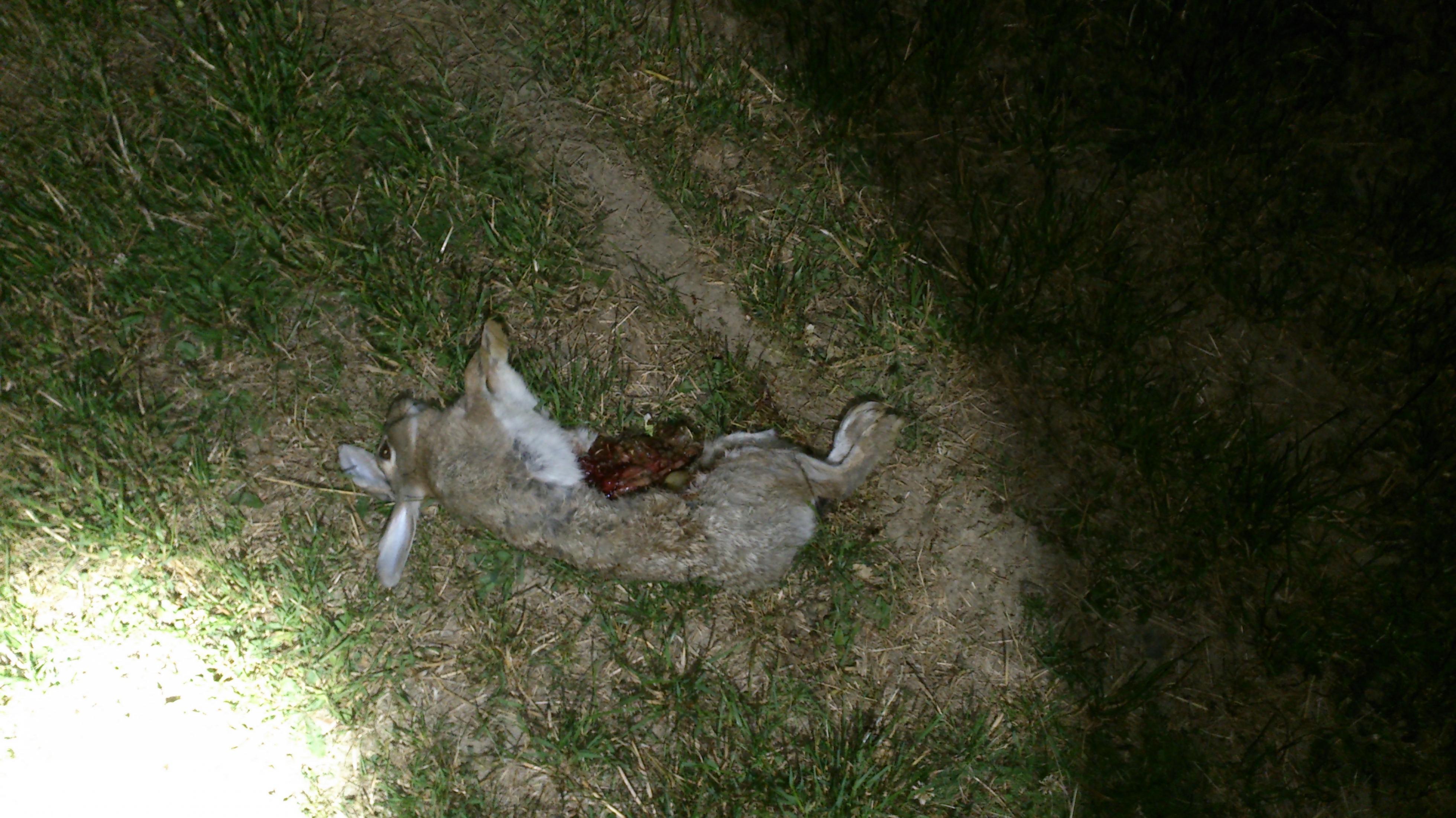 Name:  DSC_0222.jpg
Views: 475
Size:  845.2 KB