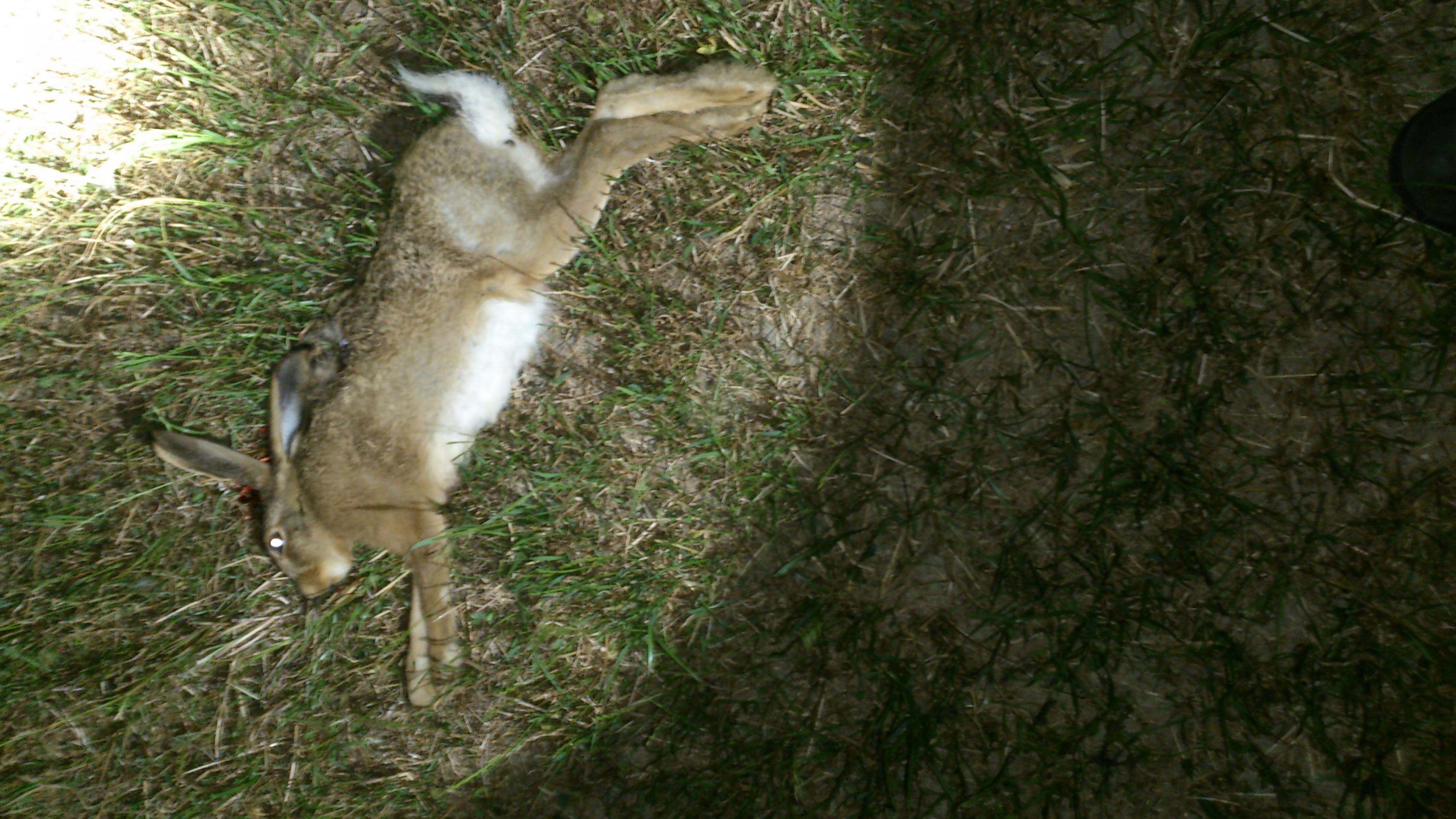 Name:  DSC_0224.jpg
Views: 483
Size:  887.5 KB
