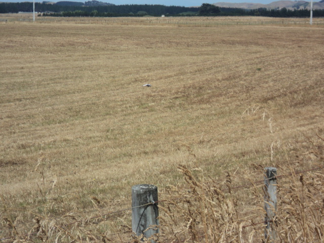Name:  picture 5019.jpg
Views: 365
Size:  163.5 KB