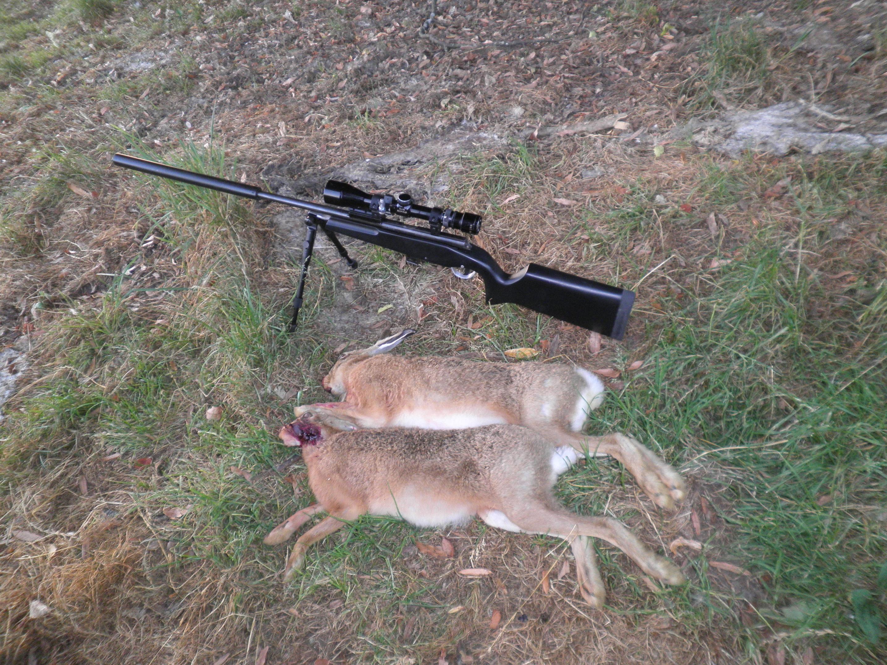 Name:  P1260169.jpg
Views: 387
Size:  1.08 MB
