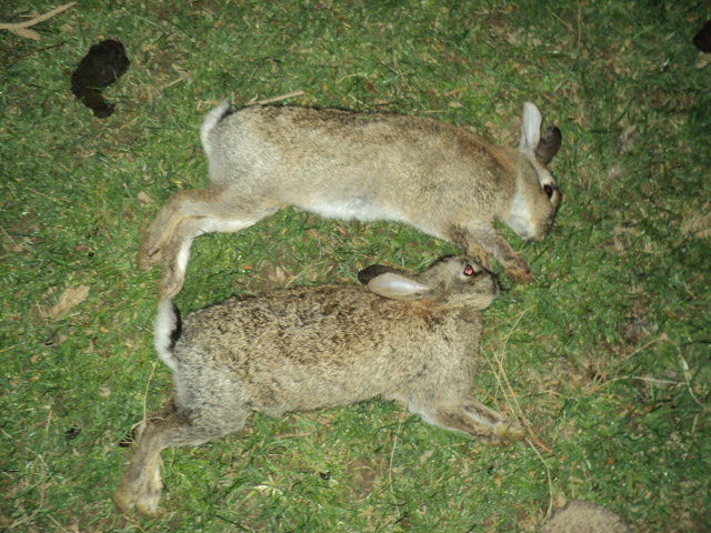 Name:  picture 273.jpg
Views: 919
Size:  165.2 KB