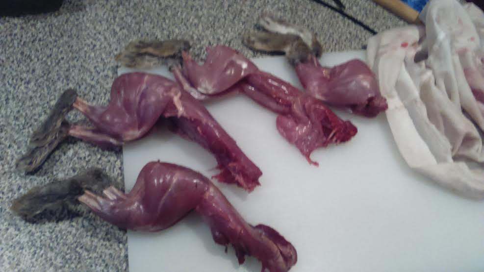 Name:  rabbits.jpg
Views: 486
Size:  41.6 KB