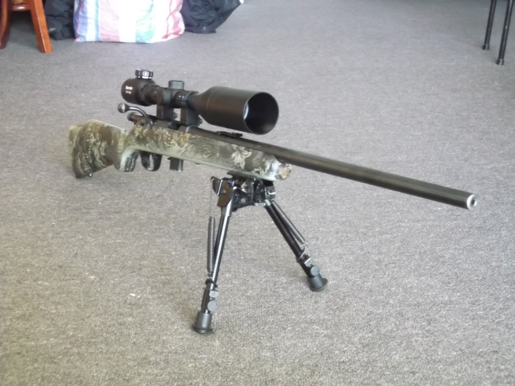 Name:  .22lr.jpg
Views: 2762
Size:  500.1 KB