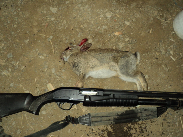 Name:  picture 292.jpg
Views: 846
Size:  164.9 KB