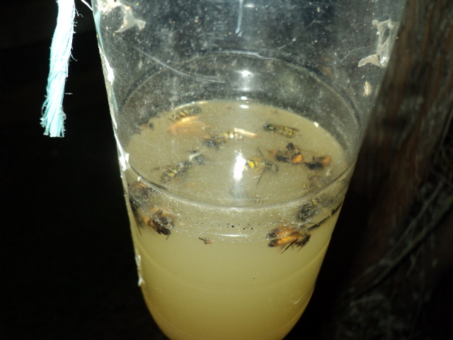 Name:  picture 5663.jpg
Views: 459
Size:  161.4 KB
