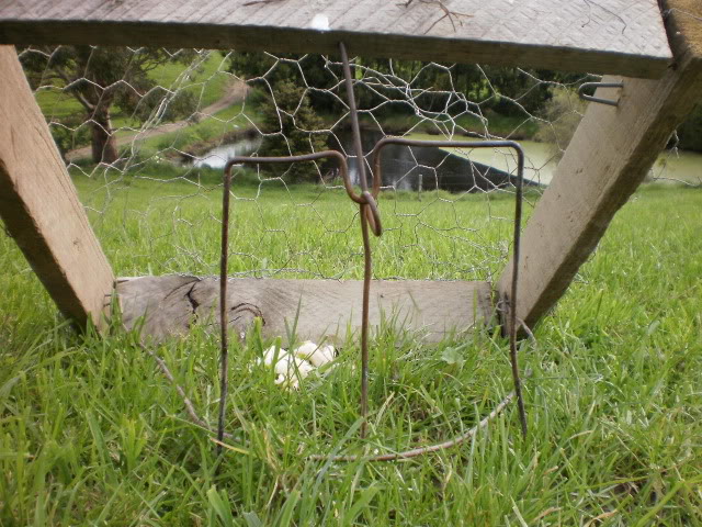Name:  PB010337-1.jpg
Views: 638
Size:  101.1 KB