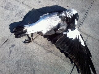 Name:  uploadfromtaptalk1435100698484.jpg
Views: 472
Size:  24.5 KB