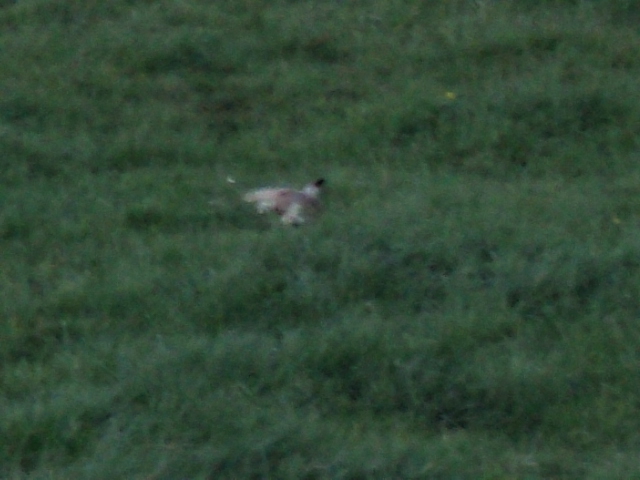Name:  picture 389.jpg
Views: 679
Size:  164.5 KB