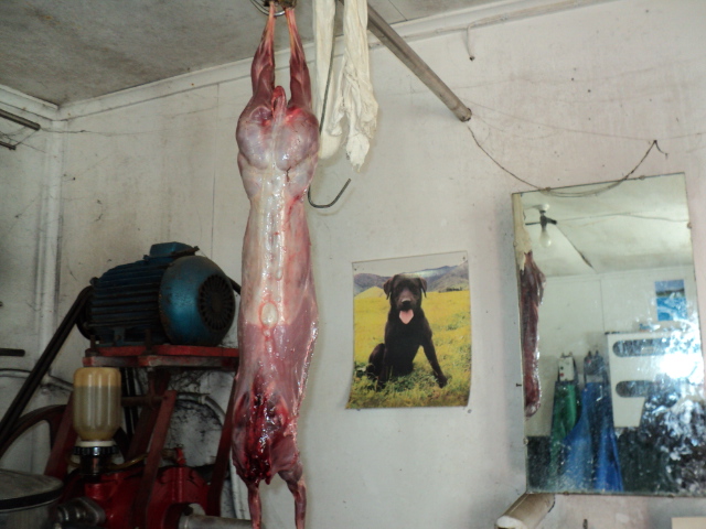 Name:  picture 393.jpg
Views: 712
Size:  163.2 KB