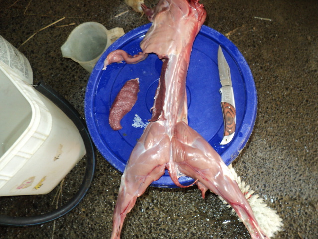 Name:  picture 414.jpg
Views: 665
Size:  163.1 KB