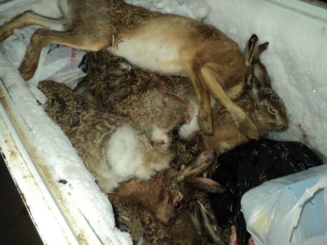 Name:  picture 6446.jpg
Views: 282
Size:  162.5 KB