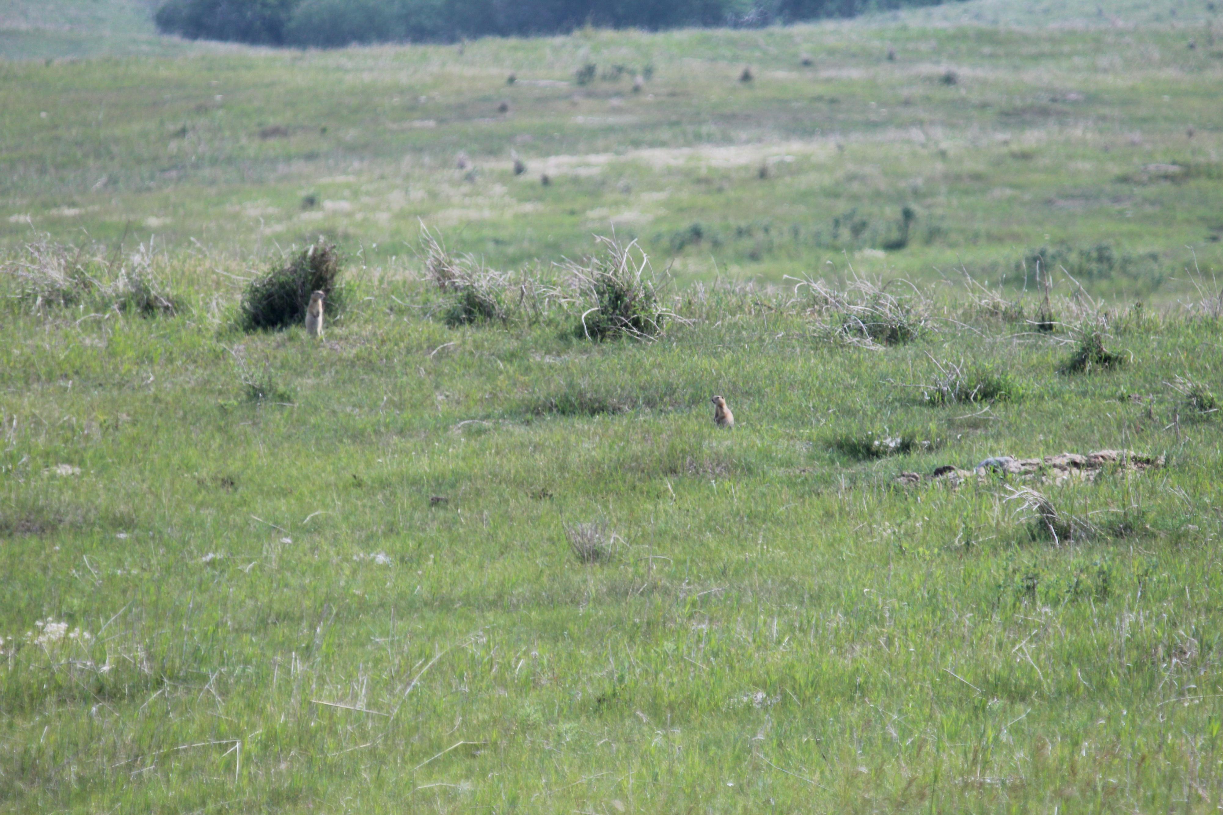 Name:  cannon 2015 July 082.jpg
Views: 562
Size:  1.04 MB