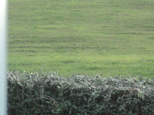 Name:  picture 6455.jpg
Views: 242
Size:  165.1 KB