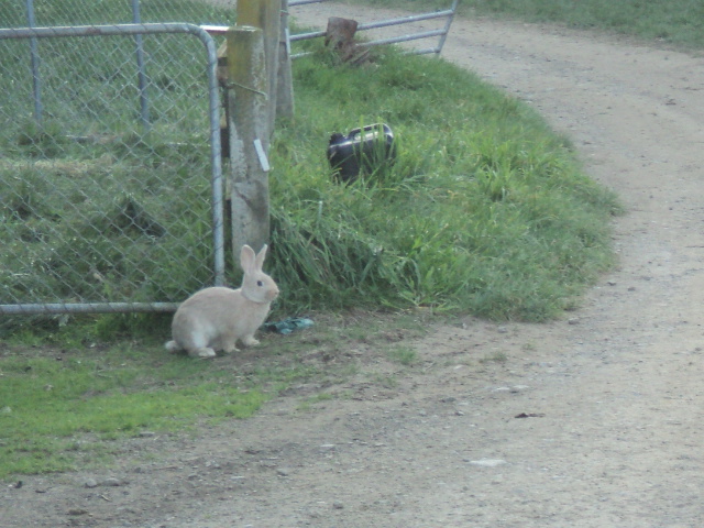 Name:  picture 6464.jpg
Views: 633
Size:  163.3 KB