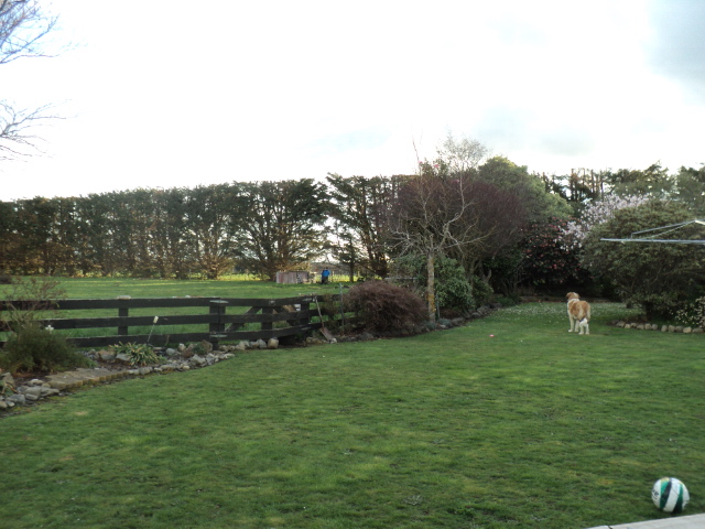 Name:  picture 6565.jpg
Views: 351
Size:  164.6 KB