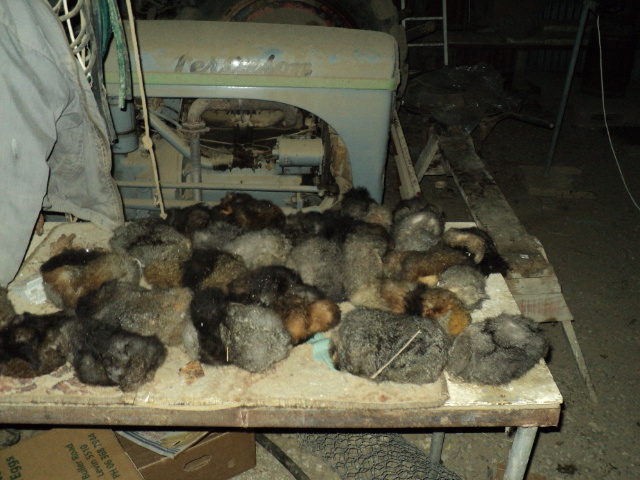 Name:  picture 6568.jpg
Views: 340
Size:  164.2 KB