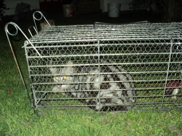 Name:  picture 6623.jpg
Views: 412
Size:  165.2 KB