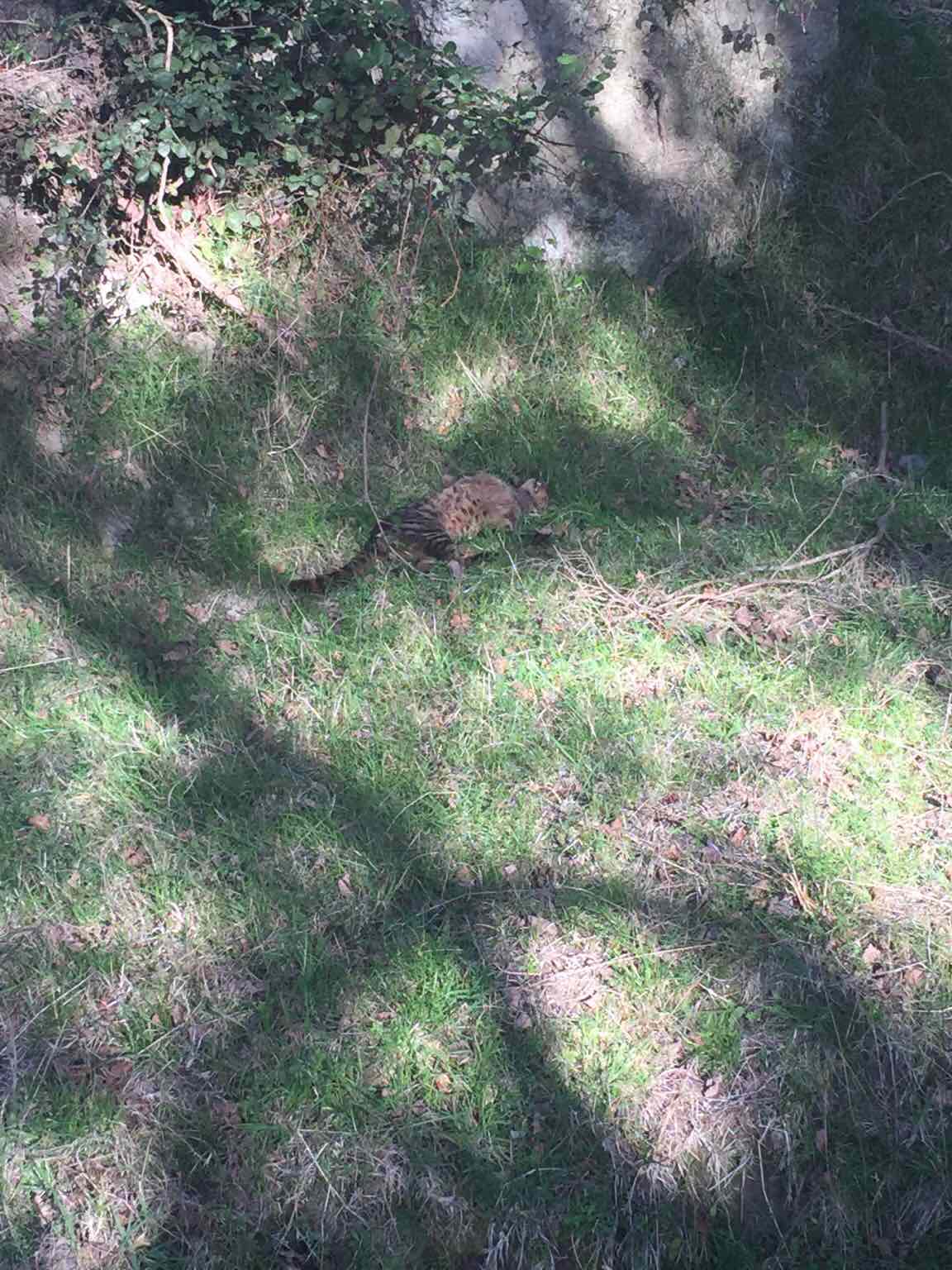 Name:  ImageUploadedByTapatalk1442203624.897991.jpg
Views: 367
Size:  187.8 KB
