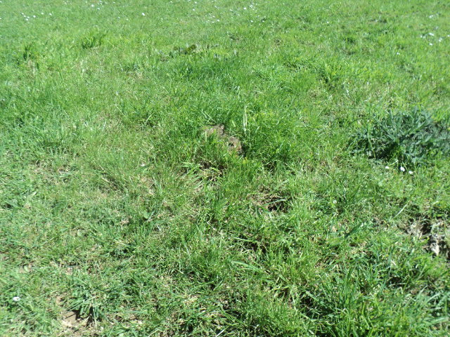 Name:  picture 6777.jpg
Views: 438
Size:  164.0 KB