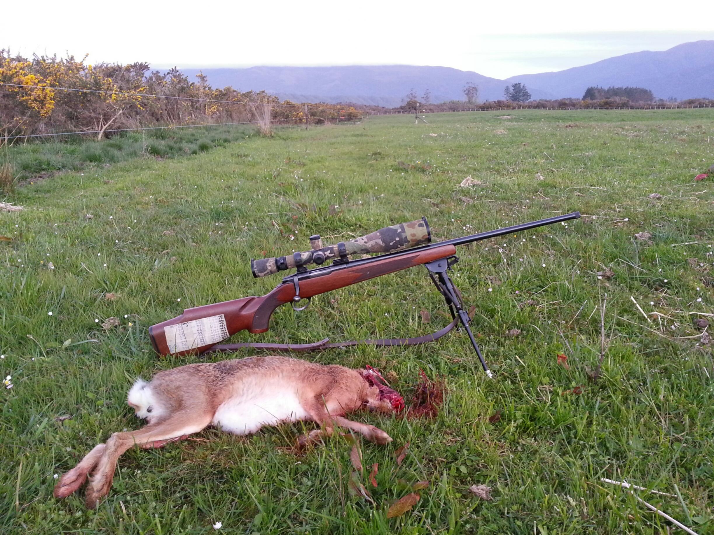Name:  hare.jpg
Views: 264
Size:  721.7 KB