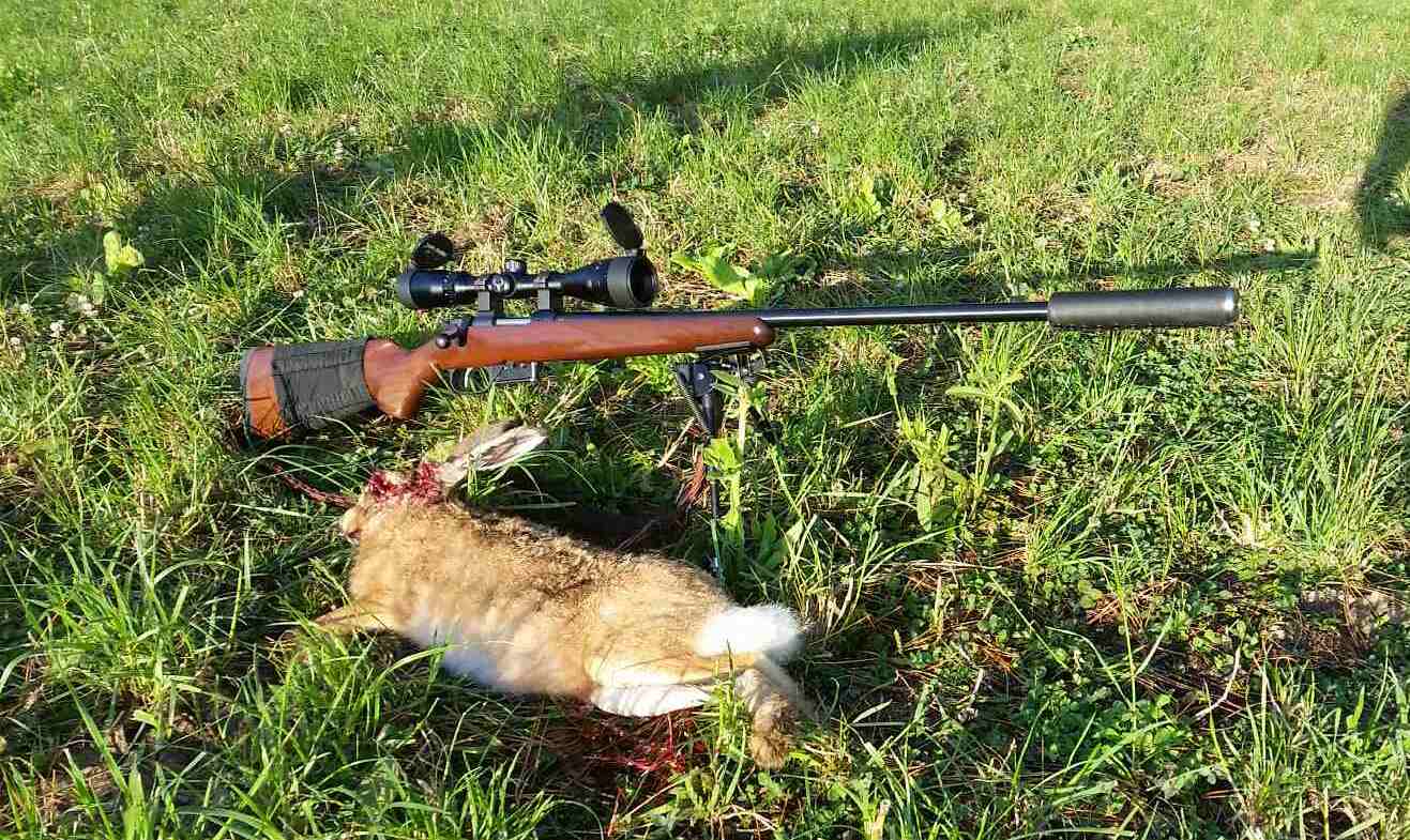 Name:  Hare Vs  CZ 527 - 17 Hornet.jpg
Views: 2864
Size:  173.2 KB