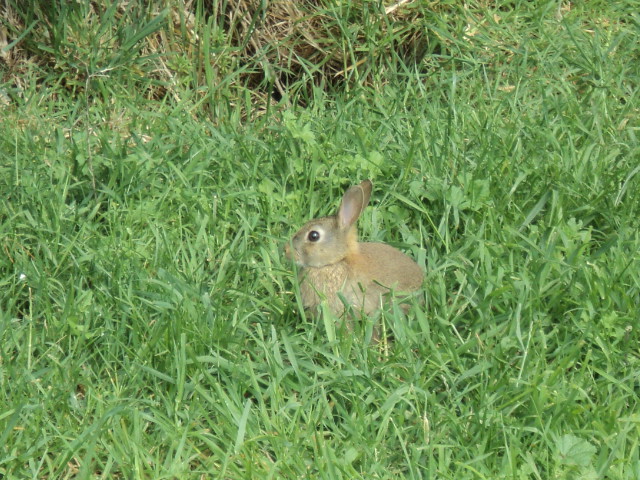 Name:  picture 6908.jpg
Views: 386
Size:  165.0 KB