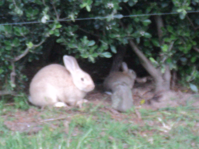 Name:  picture 6866.jpg
Views: 222
Size:  165.2 KB