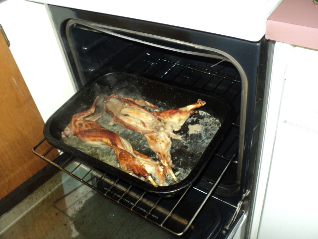 Name:  picture 5972.jpg
Views: 504
Size:  163.3 KB