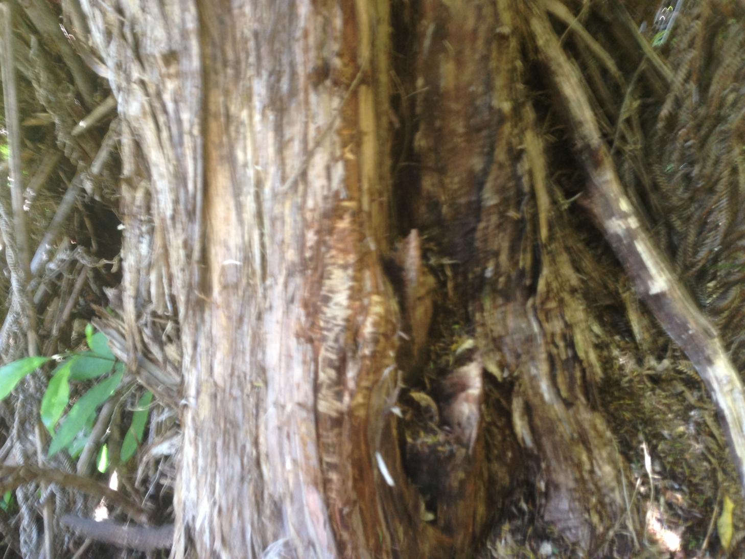 Name:  image.jpg
Views: 451
Size:  189.4 KB