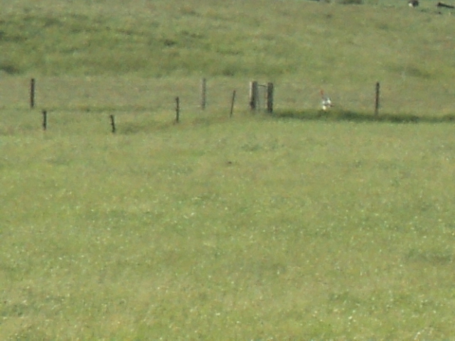 Name:  picture 7189.jpg
Views: 410
Size:  164.6 KB