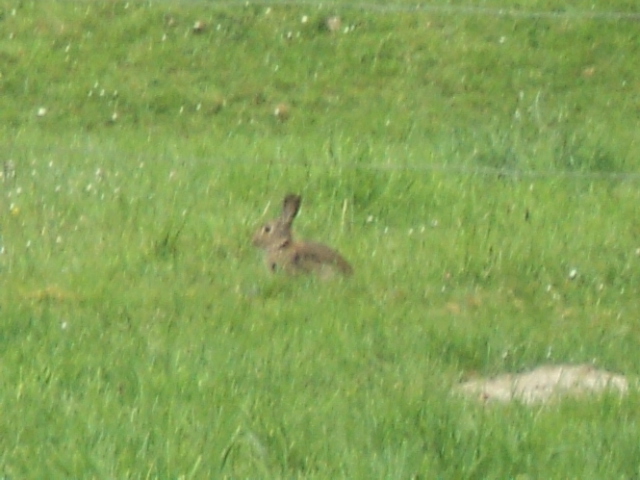 Name:  picture 549.jpg
Views: 405
Size:  164.7 KB