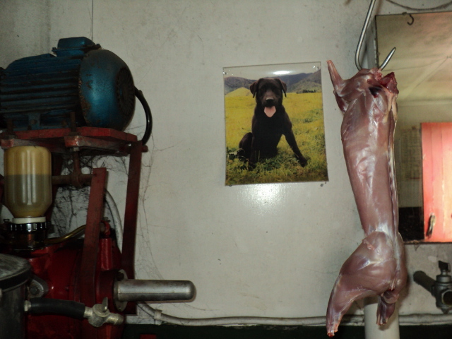 Name:  picture 552.jpg
Views: 357
Size:  165.1 KB